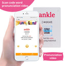 26 Themes 760 Cards Baby  English Learning Word Card Children's Educational Toys for Kids Early Learning Montessori Flashcards