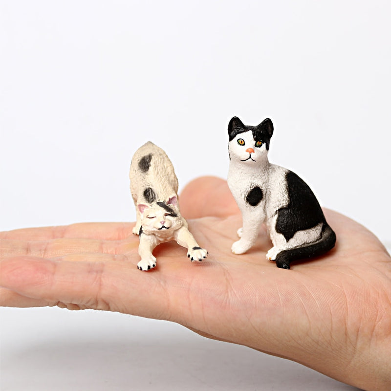 Miniatur-Bauernhof, realistische Katzenfiguren, Spielzeug, pädagogisches Tiermodell, Katzenfiguren, Spielzeug-Set, Dekoration und Gastgeschenke