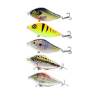 5pcs/Lot 10cm 45g Bionic Jerkbait Lures Slow Sinking NO. 2 Hooks Fit Ocean Lake River With 3D Eyes  For Pike Muskie Troute Shad