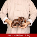 Feng Shui Elegant Elephant Resin Statue Lucky Wealth Figurine Crafts Ornaments Gift for Home Office Desktop Decoration