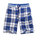 Bermuda Male Hot 2022 Summer Elastic Waist Mens Plaid Shorts Classic Design Breeches Cotton Casual Beach Short Pants Big Size 44