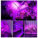 DC5V/12V LED Grow Light USB Phyto Lamp Full Spectrum Fitolampy With Control For Plants Seedlings Flower Indoor Fitolamp Grow Box