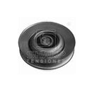 Cummins 3914086  3912274  Belt tensioner