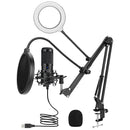 Metal USB Microphone Condenser Recording Microphone D80 Mic with Stand for Computer Laptop PC Karaoke Studio Recording