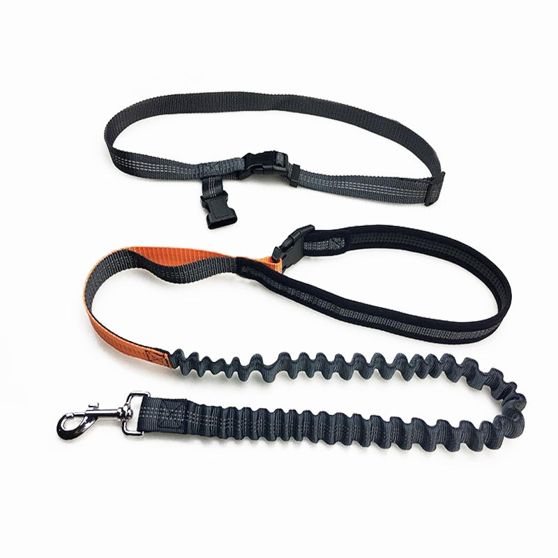 Dog Leash Rope Running Hands Free Reflective Big Dog Leashes Walking Leash With Waist Bag Collar Rope for Dogs CL147