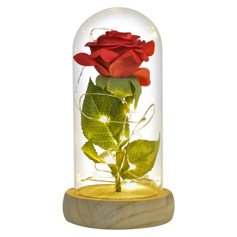 Weihnachtsgeschenk Schönheit und das Biest Konservierte Rosen im Glas Galaxy Rose Blume LED-Licht Kunstblume Geschenk für Frauen Mädchen