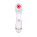 4 in 1 Electric Facial Cleansing Brush Skin Scrubber Deep Face Cleaning Peeling Machine Pore Cleaner Roller Massager