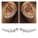 REETI, nuevo pendiente de plata de ley 925 de circón súper brillante de alta calidad para mujer, joyería, venta al por mayor, fila de orejas de regalo