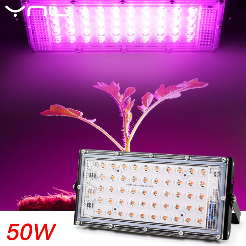 LED Grow Light Phyto-Lampe AC 220 V 50 W LED-Vollspektrum-Flutlicht Indoor Outdoor Gewächshauspflanze Hydrokultur-Pflanzenstrahler