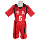 9 estilos Haikyuu Cosplay disfraz Karasuno escuela secundaria voleibol Club Hinata Shyouyou ropa deportiva Jerseys uniforme