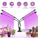LED Grow Light USB Phyto Lamp Full Spectrum Grow Tent Complete Kit Phytolamp for Plants Seedlings Flowers Indoor Grow Box
