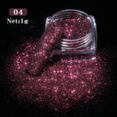 Holographics Powder Nail Glitter Laser Silver Pink Glitter Chrome Nail Powder Shimmer Gel Polish Flakes for Pigment Dust