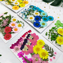 Small Real Dried Flower Natural Dry Plants For Candle Epoxy Resin Pendant Necklace Jewelry Making Craft DIY Accessori