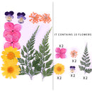 Small Real Dried Flower Natural Dry Plants For Candle Epoxy Resin Pendant Necklace Jewelry Making Craft DIY Accessori