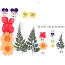 Small Real Dried Flower Natural Dry Plants For Candle Epoxy Resin Pendant Necklace Jewelry Making Craft DIY Accessori