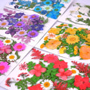Small Real Dried Flower Natural Dry Plants For Candle Epoxy Resin Pendant Necklace Jewelry Making Craft DIY Accessori