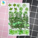Small Real Dried Flower Natural Dry Plants For Candle Epoxy Resin Pendant Necklace Jewelry Making Craft DIY Accessori
