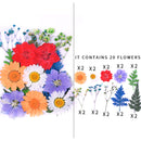 Small Real Dried Flower Natural Dry Plants For Candle Epoxy Resin Pendant Necklace Jewelry Making Craft DIY Accessori