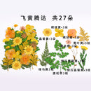 Small Real Dried Flower Natural Dry Plants For Candle Epoxy Resin Pendant Necklace Jewelry Making Craft DIY Accessori