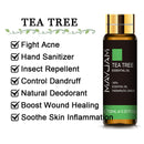 10ML Lavender Eucalyptus Pure Essential Oils Rose Lemon Jasmine Vanilla Mint Sandalwood Bergamot Tea Tree Diffuser Aroma Oil