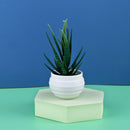 Mini Artificial Aloe Plants Bonsai Small Simulated Tree Pot Plants Fake Flowers Office Table Potted Ornaments Home Garden Decor