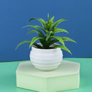 Mini Artificial Aloe Plants Bonsai Small Simulated Tree Pot Plants Fake Flowers Office Table Potted Ornaments Home Garden Decor