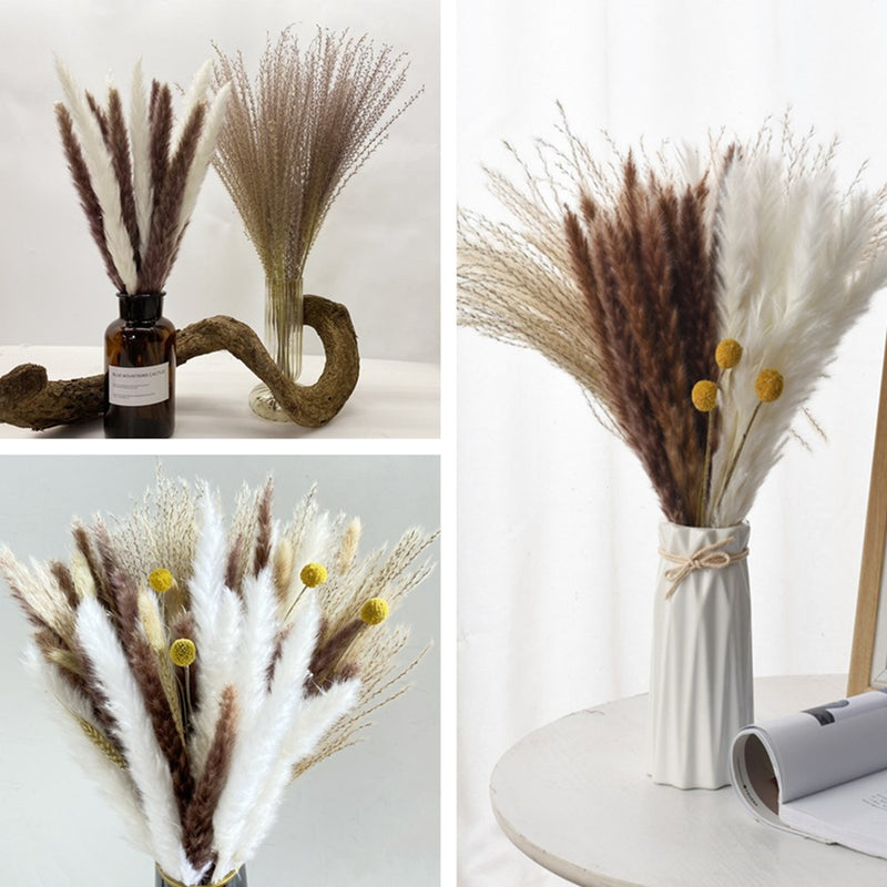 45 cm Reed Pampas Weizenohren Kaninchenschwanz Gras Natürliche Trockenblumen Blumenstrauß Hochzeitsdekoration Weihnachtsfeier für Wohnkultur