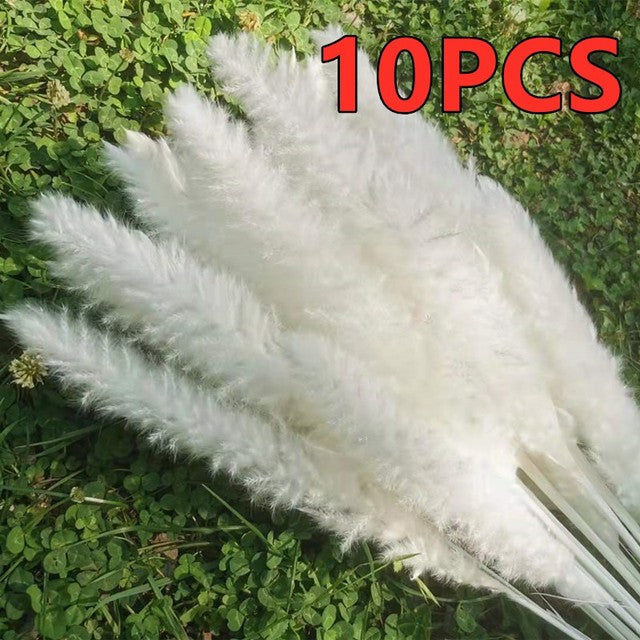 45cm Reed Pampas Wheat Ears Rabbit Tail Grass Natural Dried Flowers Bouquet Wedding Decoration Christmas Party For Home Decor