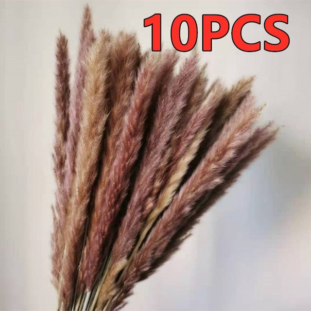 45cm Reed Pampas Wheat Ears Rabbit Tail Grass Natural Dried Flowers Bouquet Wedding Decoration Christmas Party For Home Decor