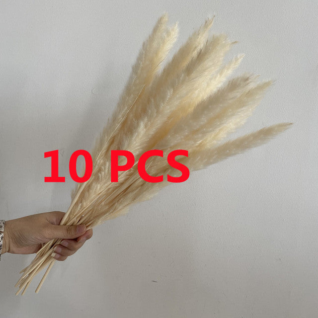 45 cm Reed Pampas Weizenohren Kaninchenschwanz Gras Natürliche Trockenblumen Blumenstrauß Hochzeitsdekoration Weihnachtsfeier für Wohnkultur