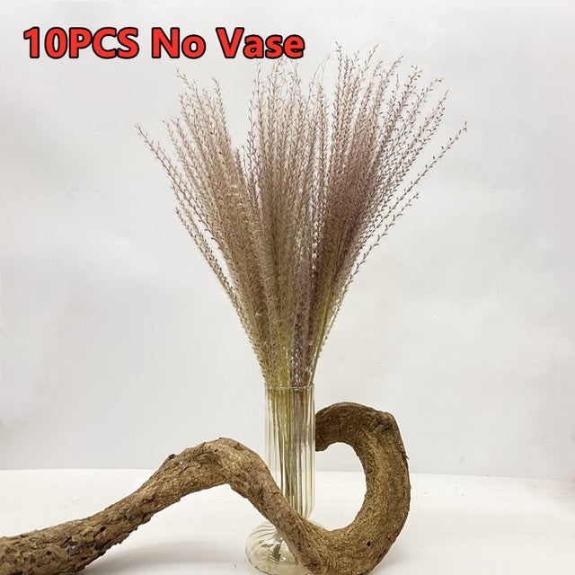 45 cm Reed Pampas Weizenohren Kaninchenschwanz Gras Natürliche Trockenblumen Blumenstrauß Hochzeitsdekoration Weihnachtsfeier für Wohnkultur