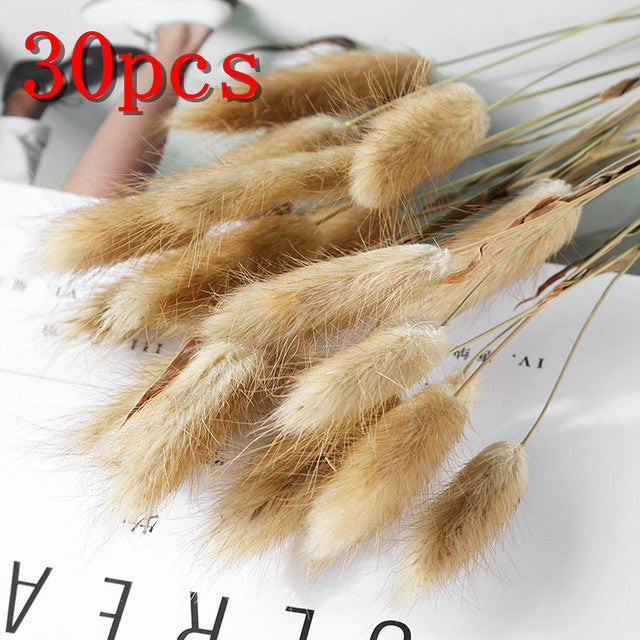 45cm Reed Pampas Wheat Ears Rabbit Tail Grass Natural Dried Flowers Bouquet Wedding Decoration Christmas Party For Home Decor