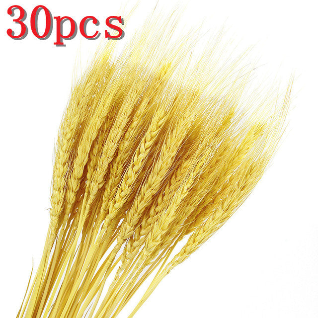 45 cm Reed Pampas Weizenohren Kaninchenschwanz Gras Natürliche Trockenblumen Blumenstrauß Hochzeitsdekoration Weihnachtsfeier für Wohnkultur