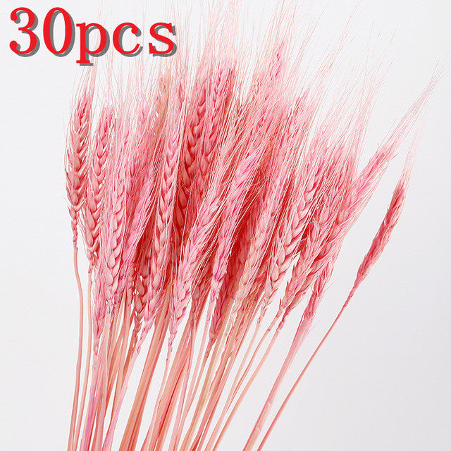 45cm Reed Pampas Wheat Ears Rabbit Tail Grass Natural Dried Flowers Bouquet Wedding Decoration Christmas Party For Home Decor