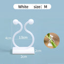 Plant Climbing Wall Self-Adhesive Fixed Buckle Hook Fastener Tied Fixture Vine Buckle Hook Garden Plant Wall Climbing Vine Clips