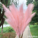 1 Uds hierba Pampas artificiales decoración de la habitación del hogar ramo de flores de caña de imitación DIY decoración de boda suministros de fiesta de cumpleaños