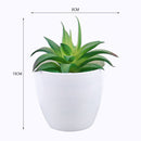 Mini Artificial Aloe Plants Bonsai Small Simulated Tree Pot Plants Fake Flowers Office Table Potted Ornaments Home Garden Decor