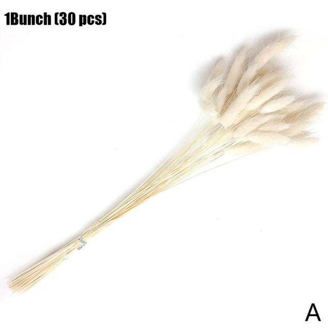 30 Stems Dried Flower Bunny Tail Natural Plants Floral Rabbit Grass Bouquet Home Accessories Office Decoration Festival Ceremony