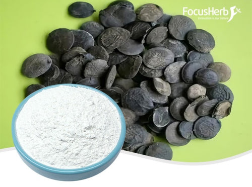 Griffonia Seed Extract 5HTP