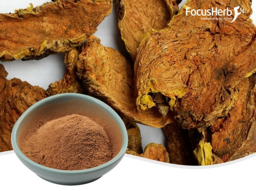 Rhodiola Rosea Extract